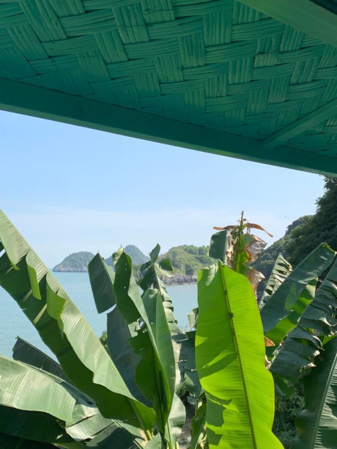 Ocean Beach Resort Cat Ba Island Exteriér fotografie