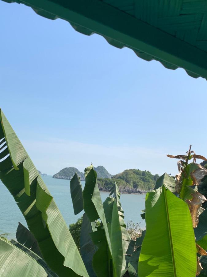 Ocean Beach Resort Cat Ba Island Exteriér fotografie